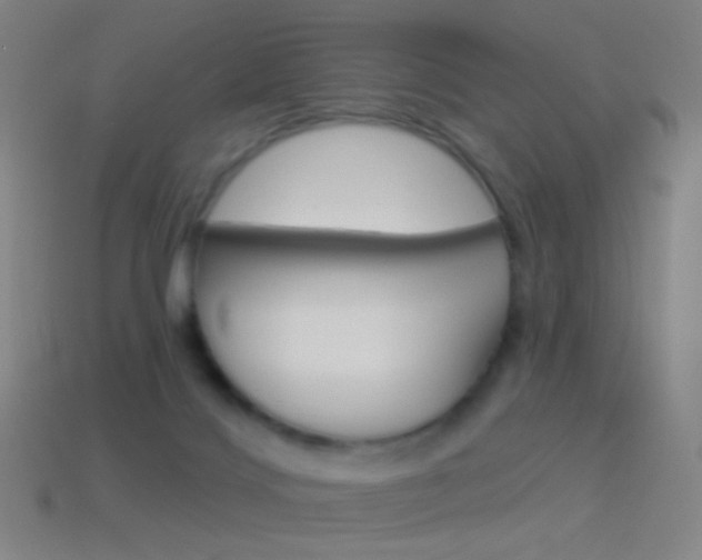 X0000114530028200910191019