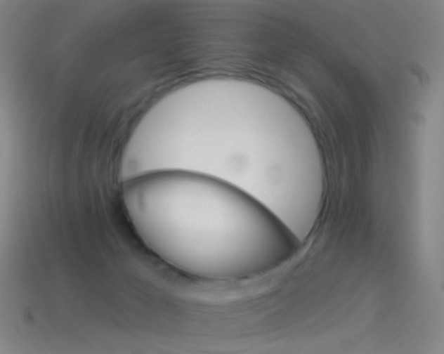 X0000114530029200910191019