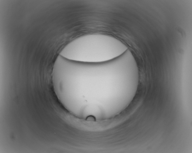 X0000114530030200910191019