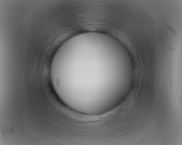 X0000114530031200910191019
