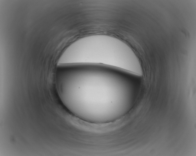 X0000114530035200910191019