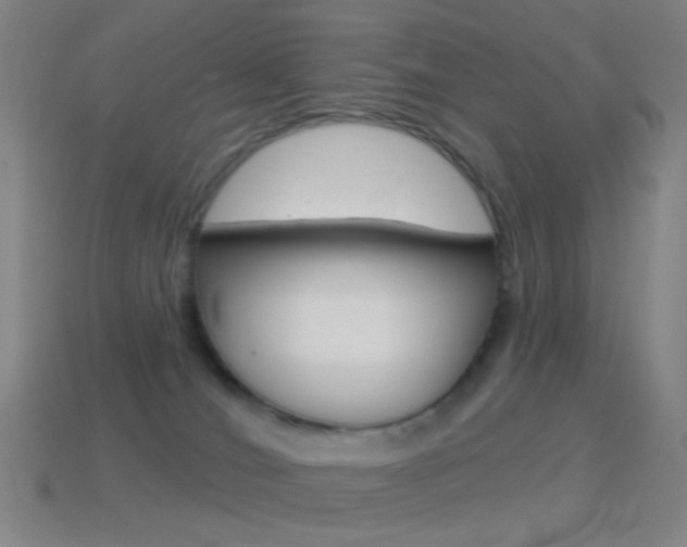 X0000114530036200910191019