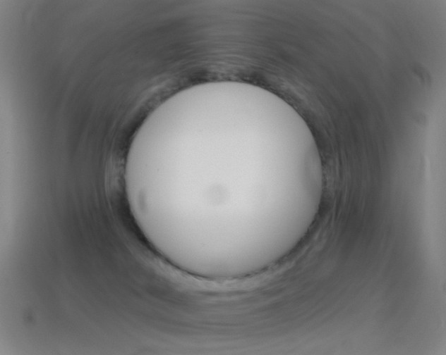 X0000114530038200910191019