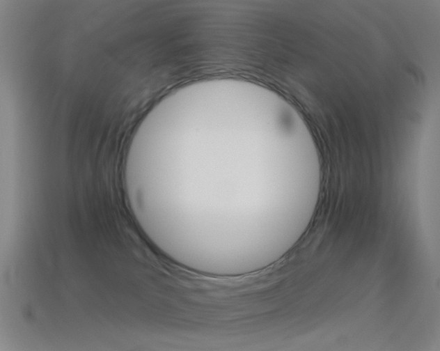 X0000114530039200910191019