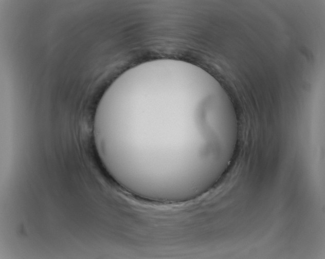 X0000114530040200910191019