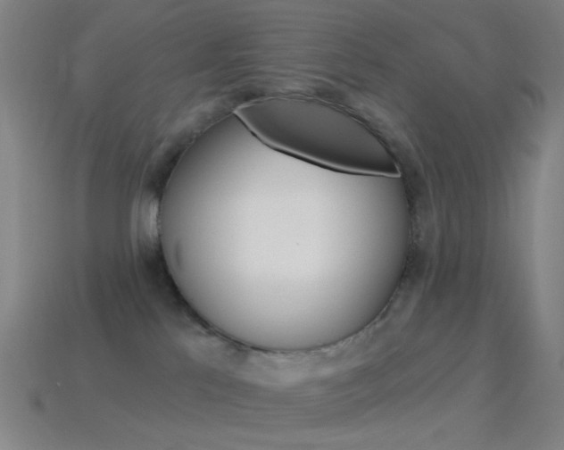 X0000114530041200910191019