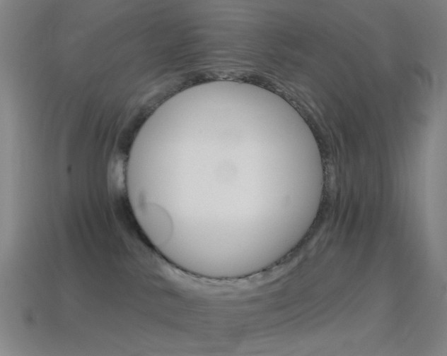 X0000114530042200910191019