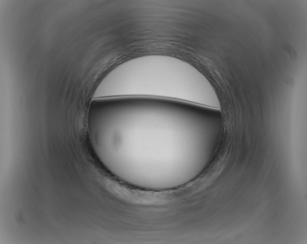 X0000114530044200910191019