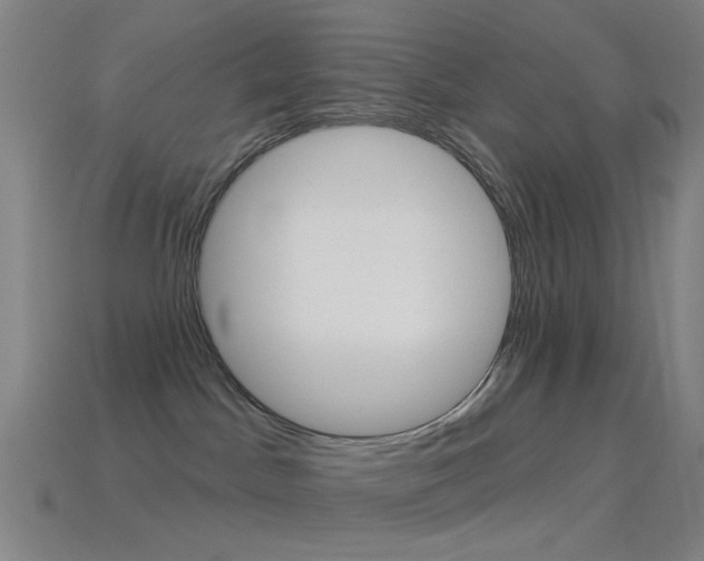 X0000114530045200910191019