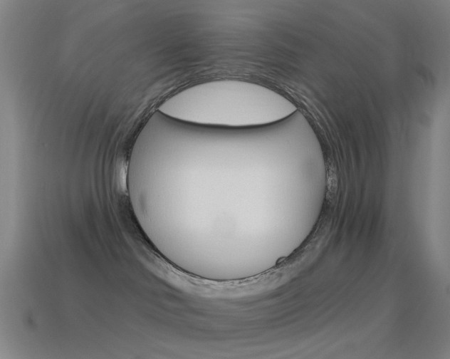 X0000114530046200910191019