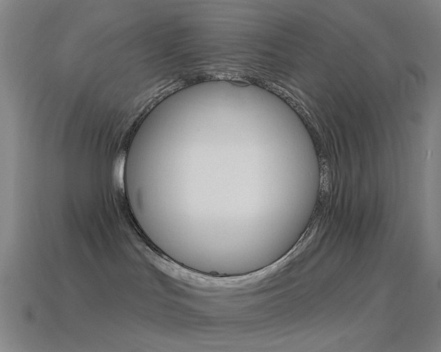 X0000114530047200910191019