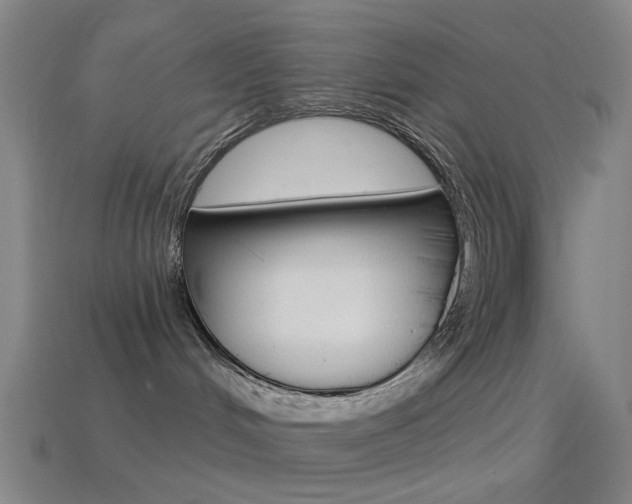 X0000114530048200910191019