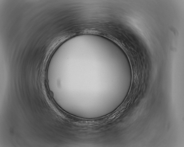 X0000114530049200910191018
