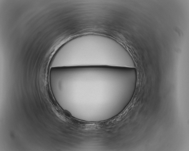 X0000114530050200910191018