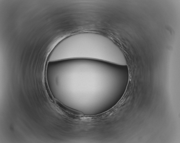 X0000114530052200910191018
