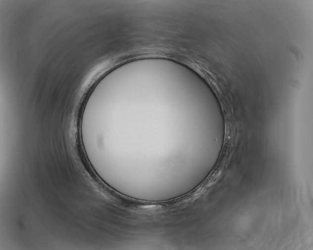 X0000114530053200910191018