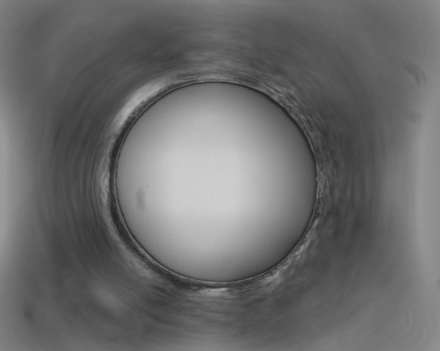 X0000114530054200910191018
