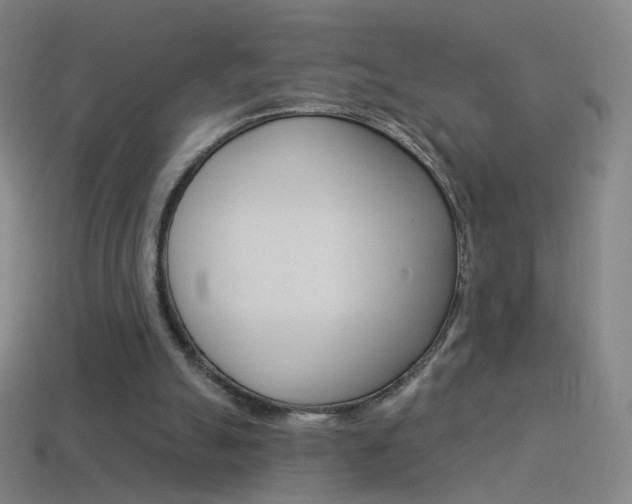 X0000114530055200910191018