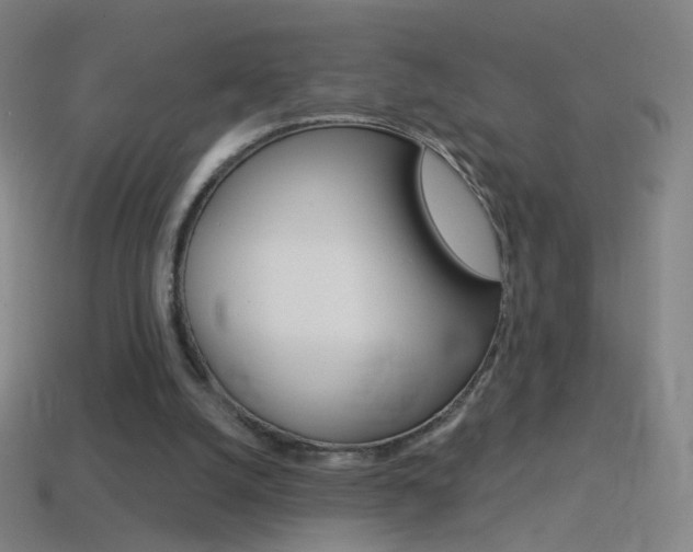 X0000114530056200910191018