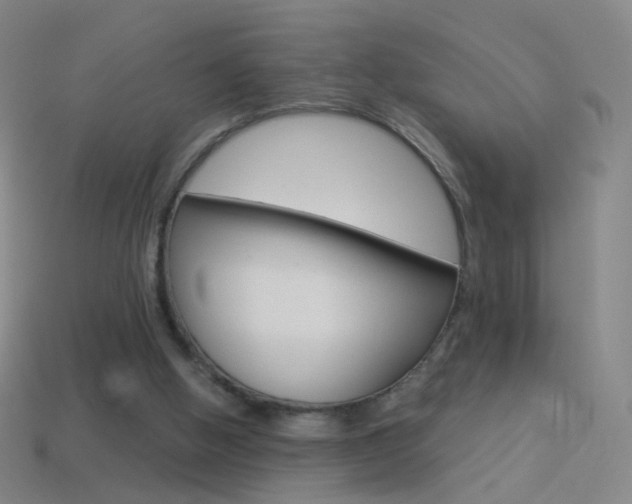 X0000114530058200910191018