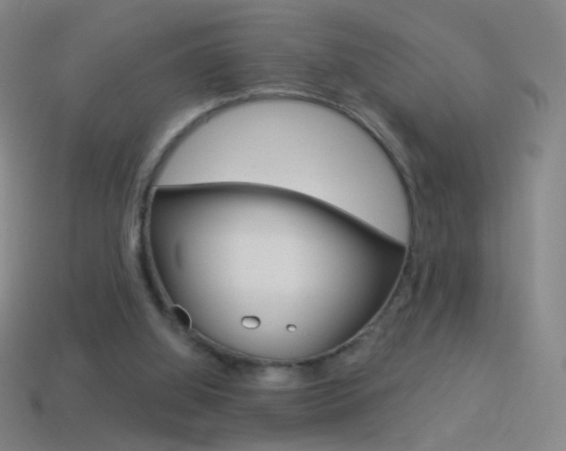 X0000114530060200910191018