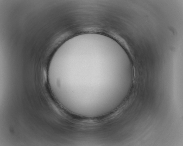 X0000114530061200910191018