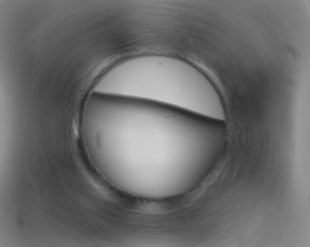 X0000114530062200910191018