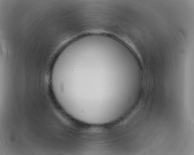 X0000114530063200910191018