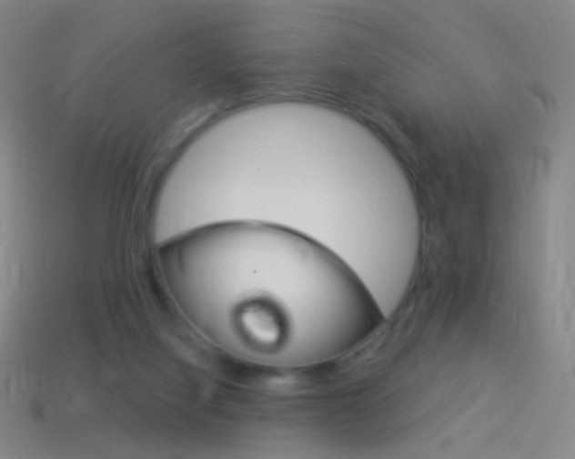 X0000114530068200910191019
