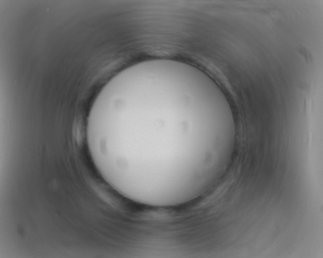 X0000114530069200910191019