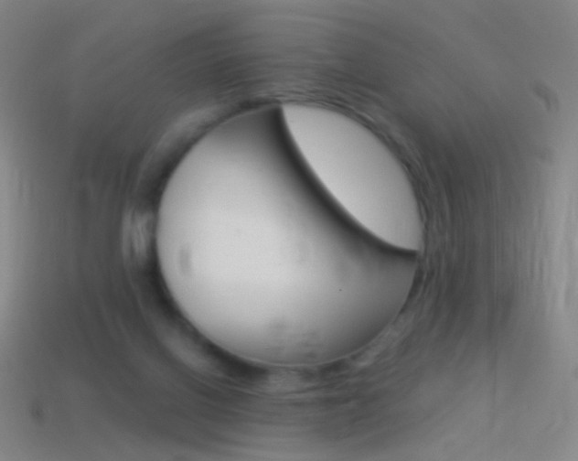 X0000114530070200910191019