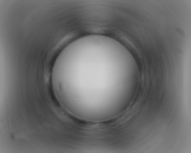 X0000114530072200910191019