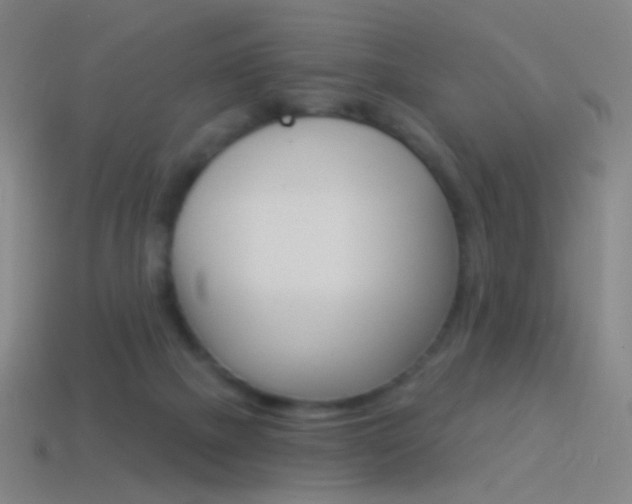 X0000114530073200910191019