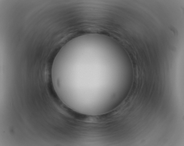X0000114530080200910191019