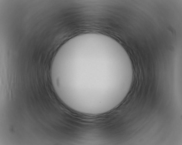 X0000114530084200910191019