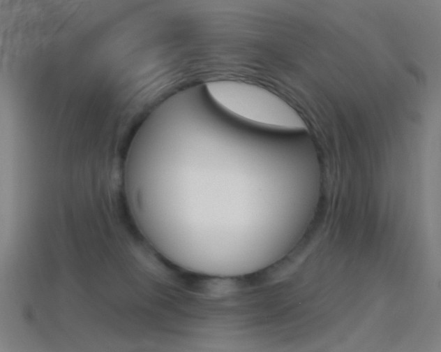 X0000114530085200910191019