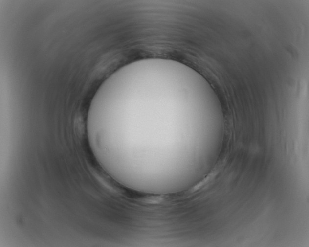 X0000114530086200910191019