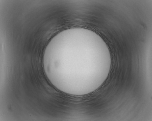 X0000114530088200910191019