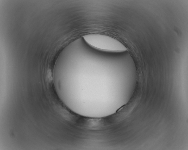 X0000114530089200910191019