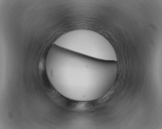 X0000114530090200910191019