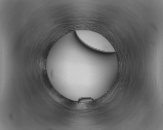 X0000114530091200910191019