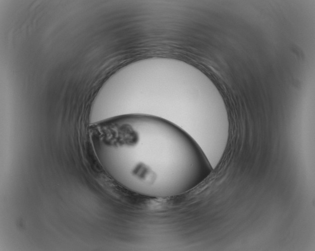X0000114530092200910191019