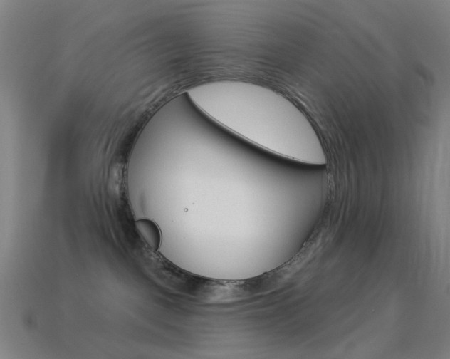 X0000114530093200910191019