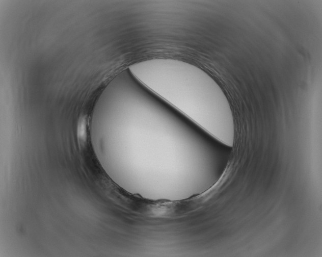 X0000114530094200910191019