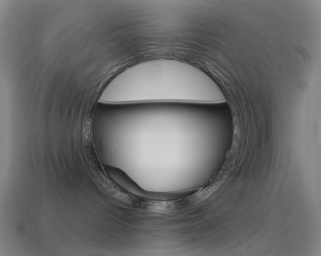 X0000114530096200910191019