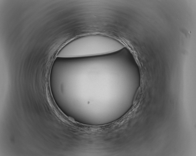 X0000114530097200910191018