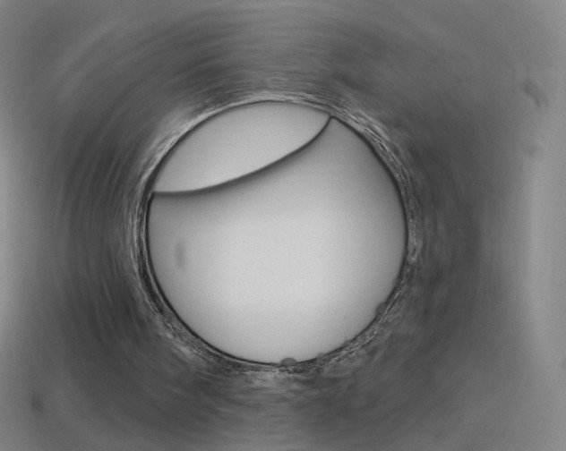 X0000114530098200910191018