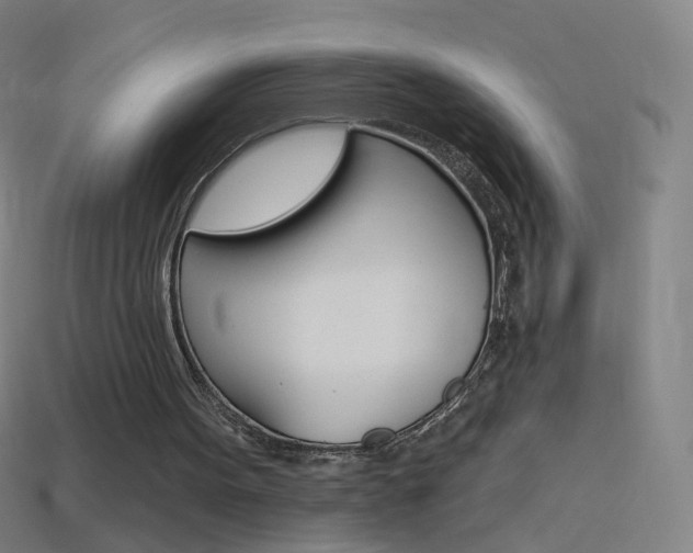 X0000114530099200910191018