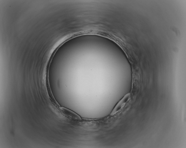 X0000114530100200910191018