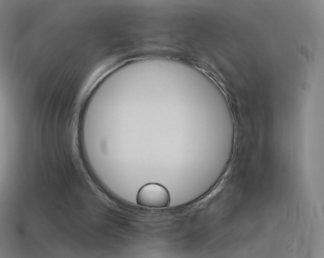 X0000114530101200910191018